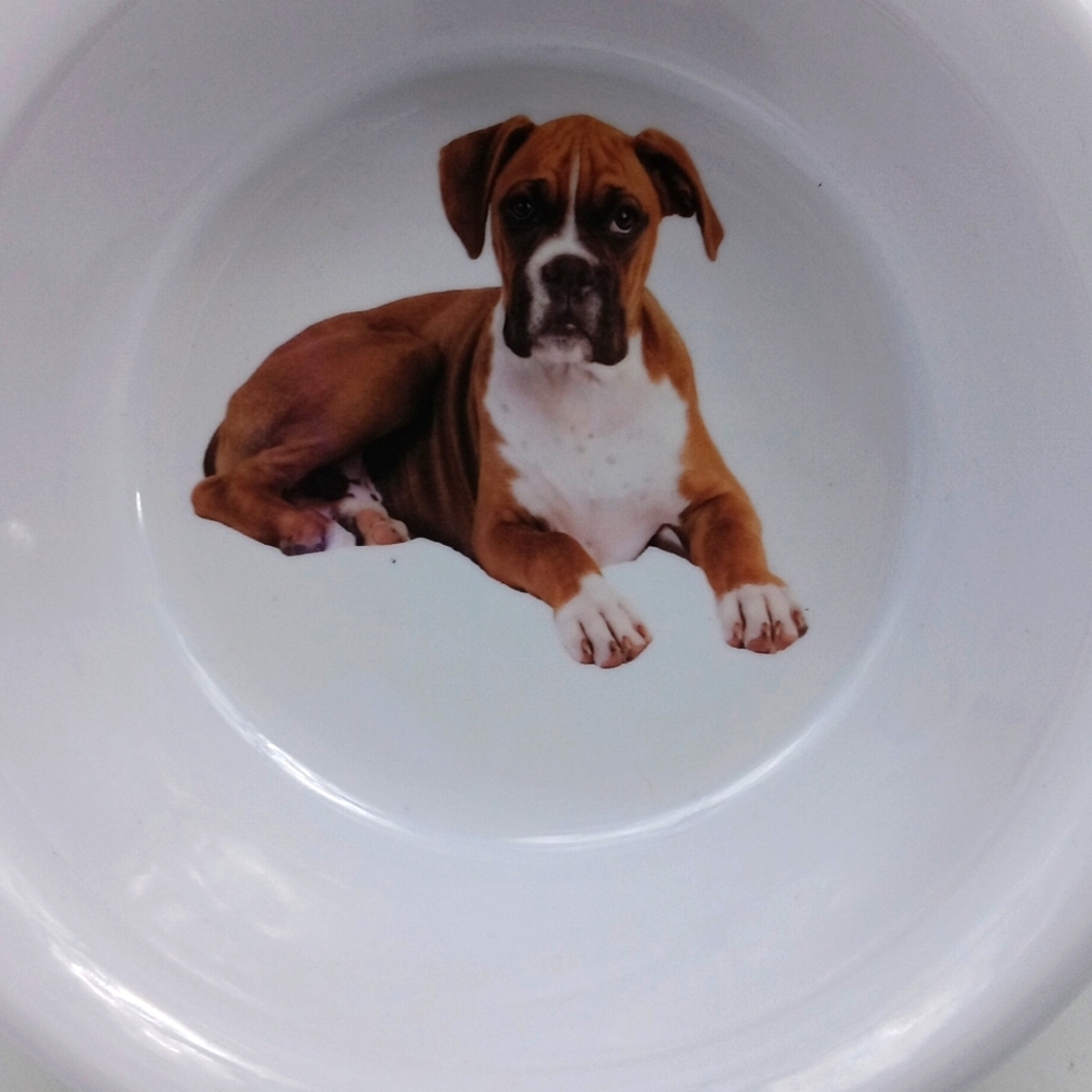 BOXER LARGE FOOD BOWL